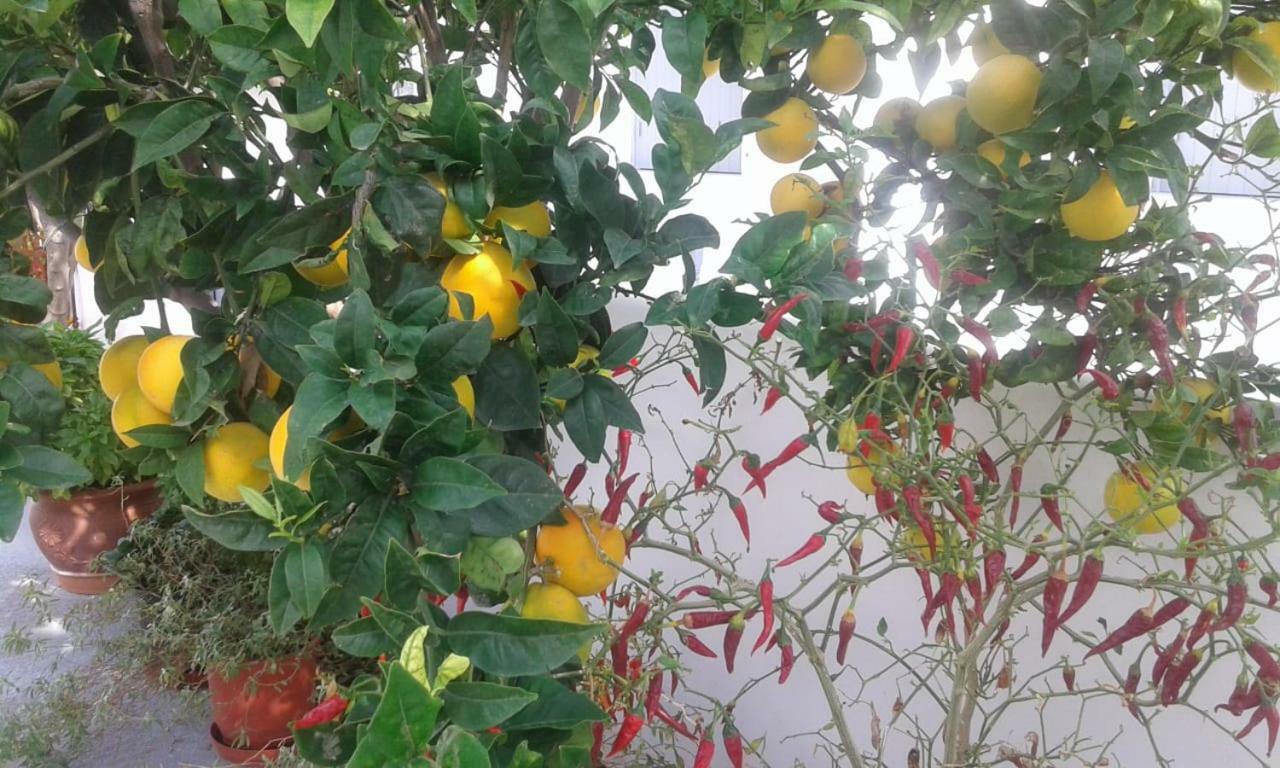 Matilda Milos - Cycladic Living Διαμέρισμα Τριοβάσαλος Εξωτερικό φωτογραφία