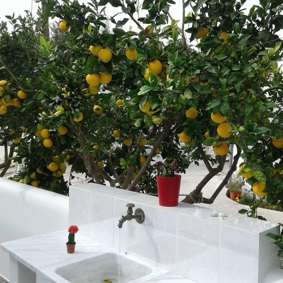 Matilda Milos - Cycladic Living Διαμέρισμα Τριοβάσαλος Εξωτερικό φωτογραφία